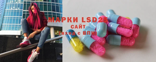 ПСИЛОЦИБИНОВЫЕ ГРИБЫ Абаза