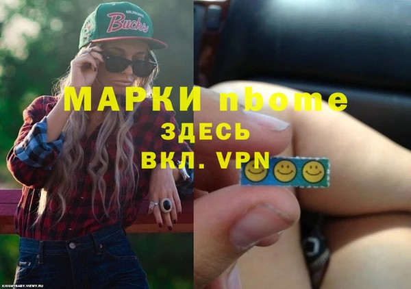 дмт Гатчина