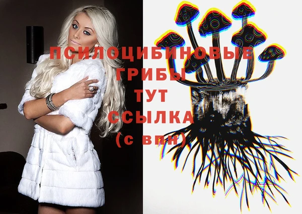 ПСИЛОЦИБИНОВЫЕ ГРИБЫ Абаза